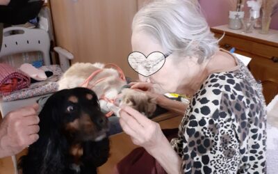 LES AMANDINES CAMBRAI AVEC LASCO NEVY ET PLUME