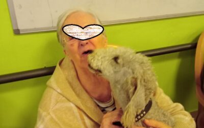 ILANG au Godenettes à TRITH