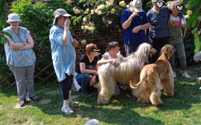 belles photos de la séance de Cantin hier…ballade ombragée le long de la petite sensée….suivie d’une visite de mon jardin et d’un « bain de chiens  » très appréciée