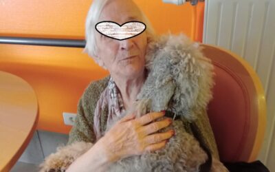 LA RIVE D OR NOYELLES GODAULT