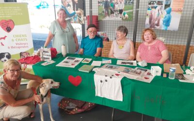 FORUM DES ASSOCIATIONS DE LENS