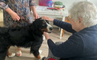 RÉSIDENCE VALÉRY A MONTIGNY AVEC NINA