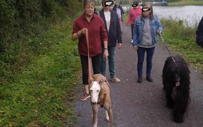 photos de Cantin cet après midi…5 chiens…2 afghan Nina et Népal…..1 greyhound Jenny…un bedlinton Ilang et surtout…grande 1 ére de Melchior..galgo récupéré dans les rues en Espagne……quelle évolution !!!! et quelle génèrosité en lui!