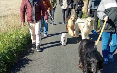 nous avons affronté la tempête en ce 29 mars pour une ballade le long du canal avec les résidents du rayon vert de Cantin…..les poilus étaient de sortie et ont couru !!!