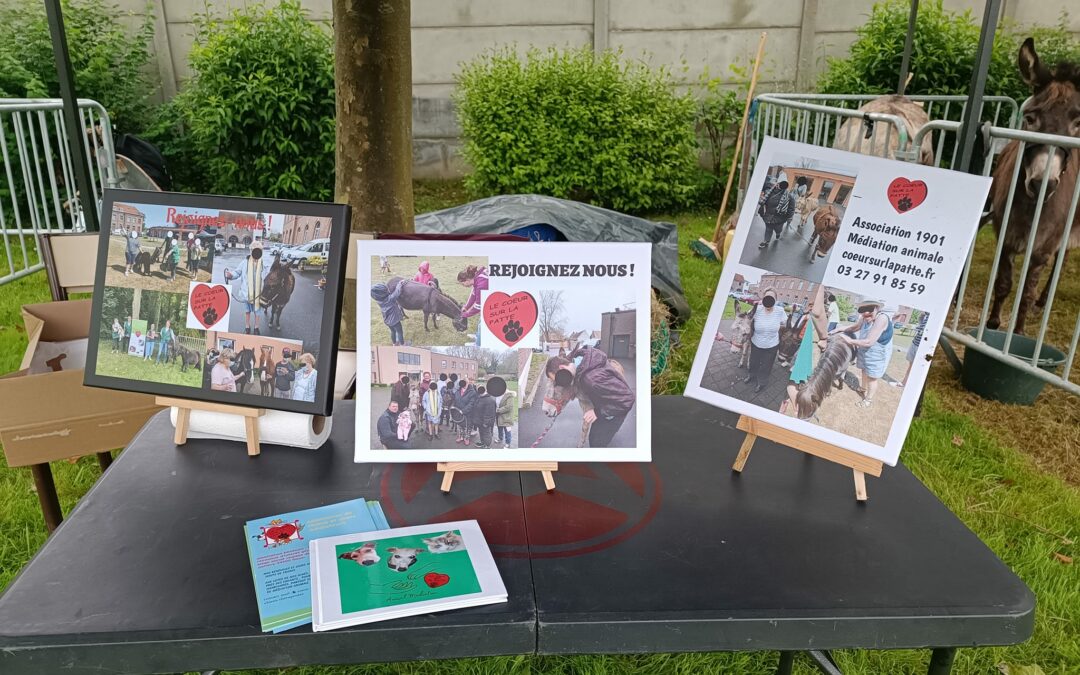 Bien installés à la fête de l’âne et des traditions sur la commune de Aux Marais (60) proche Beauvais, avec Réglisse et Victor.