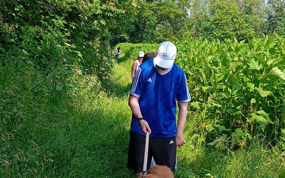 EN BALADE CET APRÈS MIDI AVEC LE RAYON VERT CANTIN