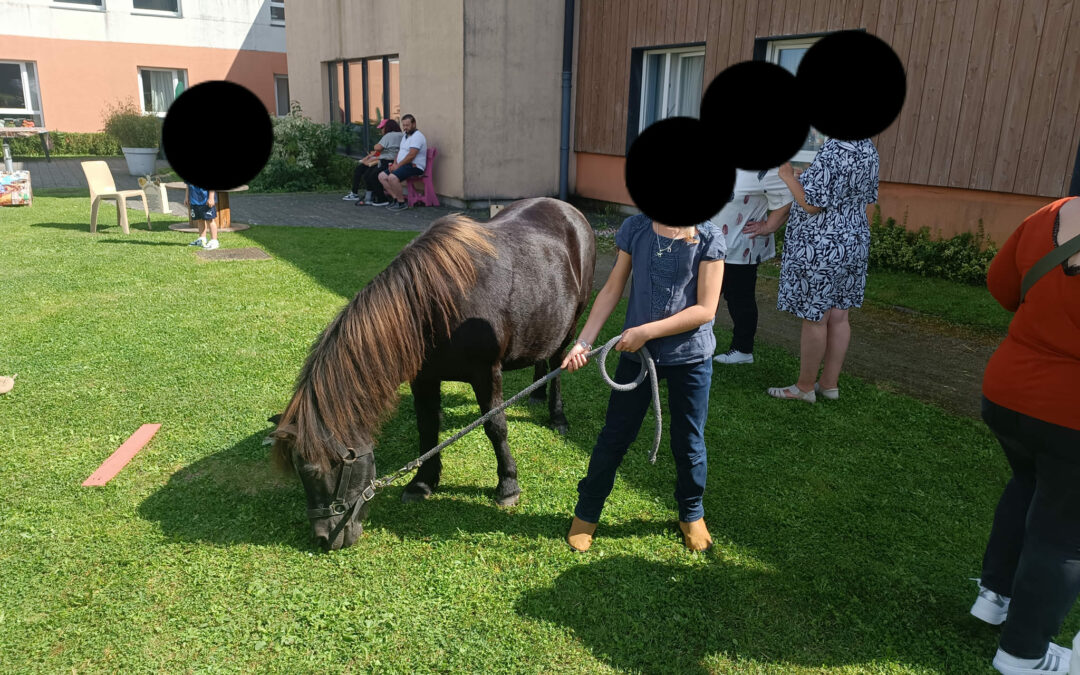 Fête du Foyer Notre Dame Asrl avec Vitamine et Prince. Pour l’association le cœur sur la patte.Des chevaux exemplaires dans la musique, la foule et le bruit.