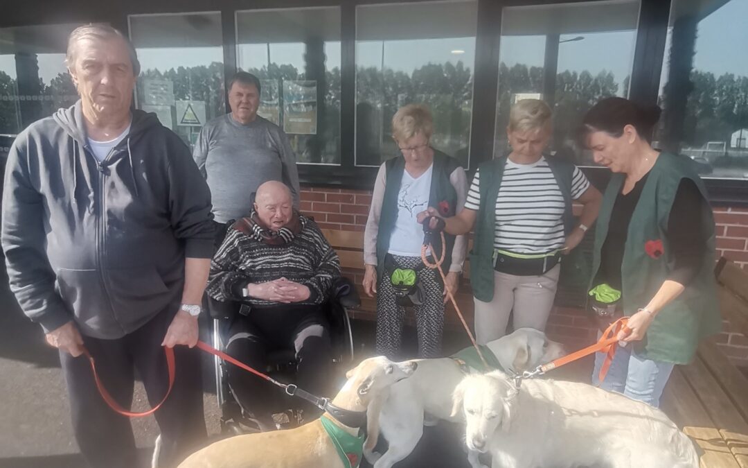 Promenade dans le village avec l’association Le cœur sur la patte pour les résidents des Godenettes