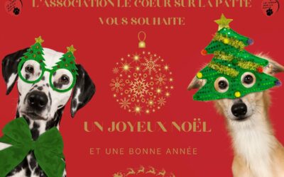 Bonnes fêtes de fin d’années à vous tous mes chers adhérents et postulants…et une énorme pensée à toutes ces personnes qu’on visite , soit en EHPAD , soit dans les hôpitaux , foyer de vie , centre d’handicapés ect…..qu’ils ne se sentent pas trop isolés et que 2025 soit plus souriante Maryse HURIAU Présidente de l’association