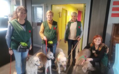 Merci à Michèle, Cathy, Carine et Marie-Ange de l’association le coeur sur la patte pour leur visite avec leurs chiens Navy, Rosalie, Opaline et Swan