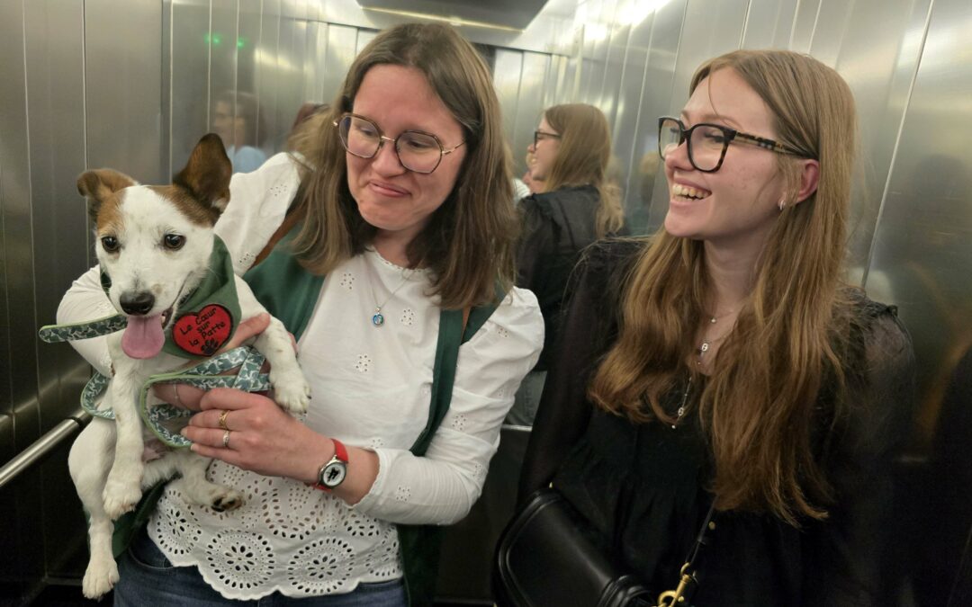 Les débuts de Speed accompagné de Swann, Navy, Plume et Ben à l’unité de Soins Palliatifs de Valenciennes ce samedi 12 avril. Des moments émouvants comme toujours.