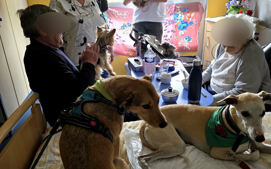 Plume, Navy, Iris, Tiloo & Ben ont rendu visite aux résidents de la Maison de la Scarpe à Lallaing ce samedi 19 avril pour le plus grand bonheur de tous. Nous étions accompagnés de Valentin qui se destine au métier d’infirmier et qui souhaitait accompagner sa grand-mère et sa tante dans leurs activités de bénévolat.