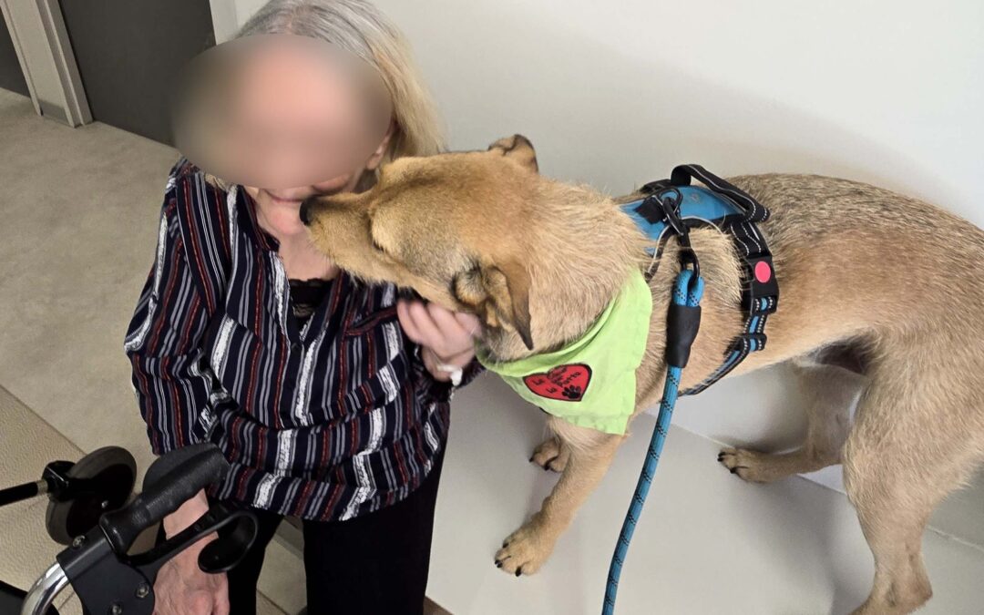 L’adorable Swann, la douce Plume et les 2 complices Navy & Ben ont rendu visite aux patients du Centre Constance Pascal de Valenciennes ce samedi 5 avril. Câlins, bisous, marche dans les couloirs et bien entendu distribution de petites récompenses étaient au rendez pour le plus grand bonheur de tous.