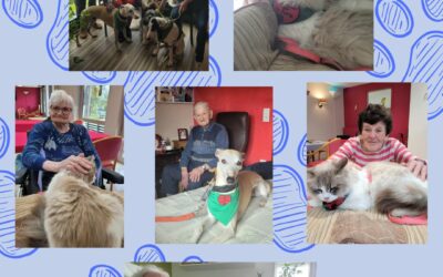 EHPAD ÉMILE DUBOIS MARCHIENNES Mardi 22 Avril présence de l’association  » cœur sur la patte  » UNE PREMIÈRE POUR MADDIE C’est toujours un grand moment de convivialité et de partage