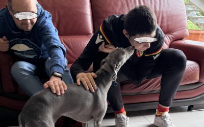 Après midi dans le groupe au foyer de vie Bernard Pasnier Mizuiro fait plein de bisous