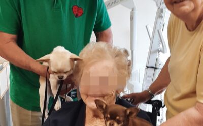 Ils étaien trois , trois fois plus de bonheur pour les résidents de l’Ehpad Degeorge de Béthune avec Uggy, Sidonie et Night