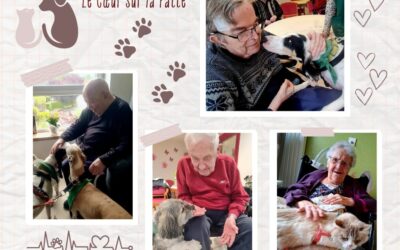 Visite pleine de tendresse ce Mardi 27 Mai après-midi !Les résidents ont eu le plaisir d’accueillir l’association Le Cœur sur la Patte. Michelle est venue avec Navy et Plume le chat, et Sylvie avec Merlin et Maddie, des animaux issus de sauvetages.Câlins, ronrons, sourires et échanges chaleureux étaient au rendez-vous. Vivement la prochaine visite !