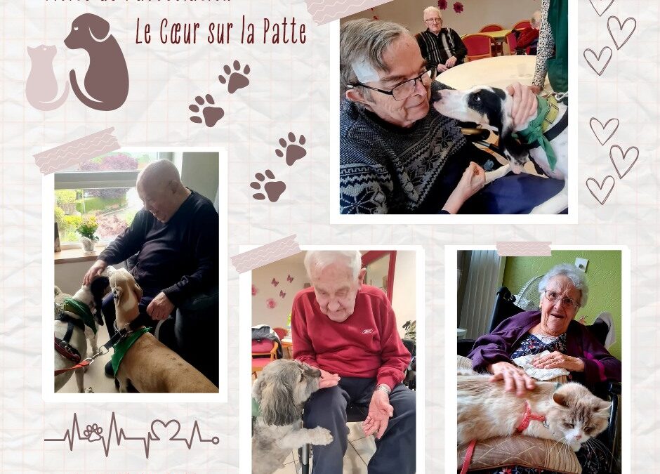 Visite pleine de tendresse ce Mardi 27 Mai après-midi !Les résidents ont eu le plaisir d’accueillir l’association Le Cœur sur la Patte. Michelle est venue avec Navy et Plume le chat, et Sylvie avec Merlin et Maddie, des animaux issus de sauvetages.Câlins, ronrons, sourires et échanges chaleureux étaient au rendez-vous. Vivement la prochaine visite !