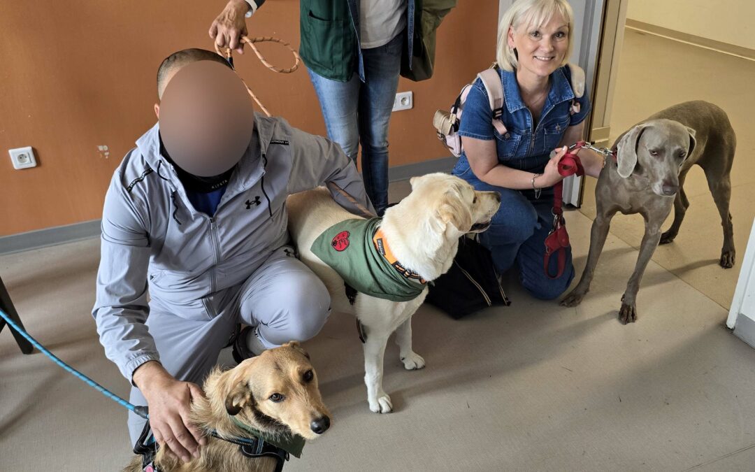 Opaline, Swann, Ben et Plume ont rendu visite aux patients du Centre Constance Pascal de Valenciennes ce samedi 7 juin.Ils ont pu, encore une fois, apporter un grand réconfort à chacun, apaiser les maux et transformer les larmes en immense sourire.Merci à eux pour avoir le cœur sur la patte et merci aussi à Cathy, Danièle, Marie Ange, Michèle & Laetitia pour avoir le cœur sur la main