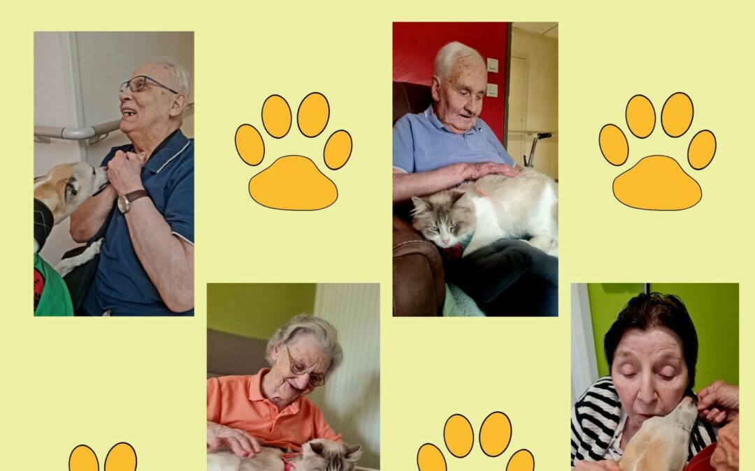 Mardi 24 Juin :L’après midi nous avons eu la visite de l’association » le cœur sur la patte » c’est toujours un grand moment de partage et de convivialité.Ce rendez-vous régulier est toujours très attendu par nos résidents
