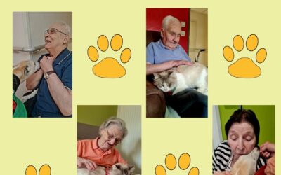 Mardi 24 Juin :L’après midi nous avons eu la visite de l’association  » le cœur sur la patte  » c’est toujours un grand moment de partage et de convivialité.Ce rendez-vous régulier est toujours très attendu par nos résidents