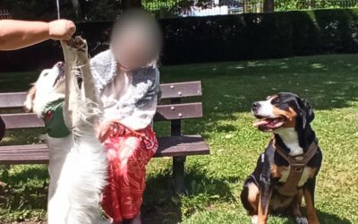 Un beau moment de calme et de douceur pour MOÏRA RIVEN TAREK HYGIE à l’EPSM D’ARMENTIÈRES