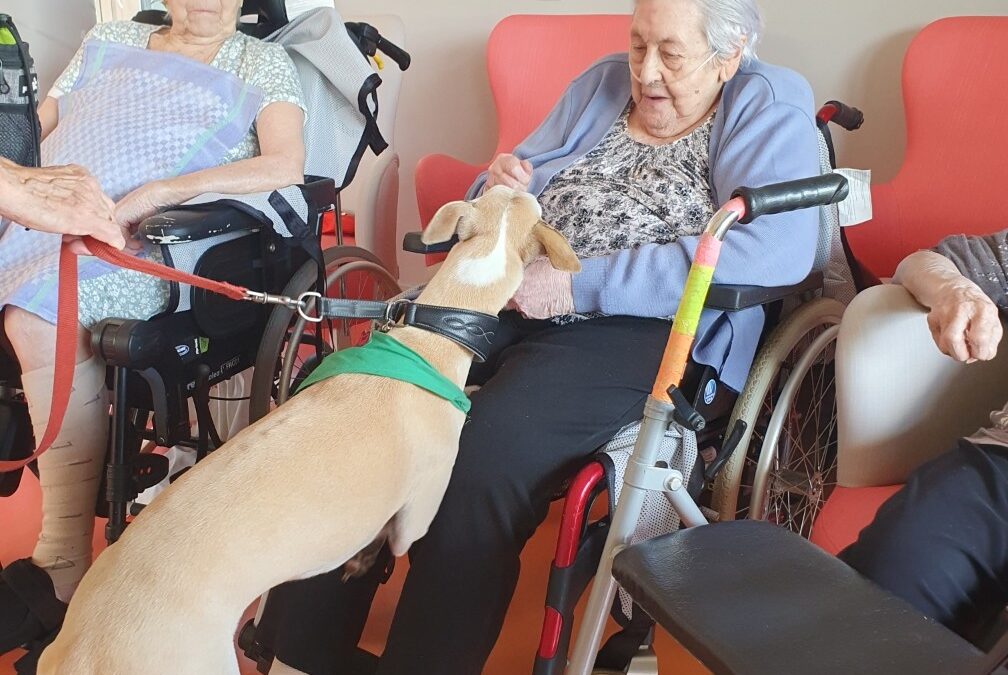 COEUR sur la patte a la résidence Les Godenettes pour le grand plaisir des résidents