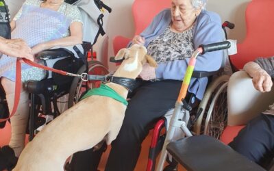 COEUR sur la patte a la résidence Les Godenettes pour le grand plaisir des résidents