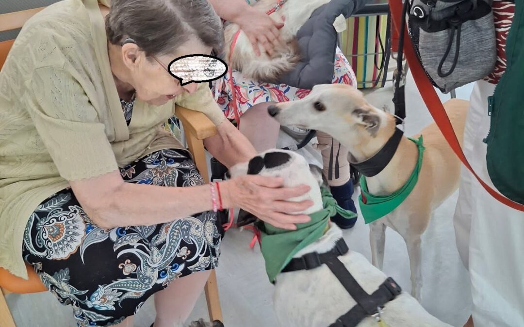 La visite de Maddie Merlin Nevy et plume au Château d’Ecaillon