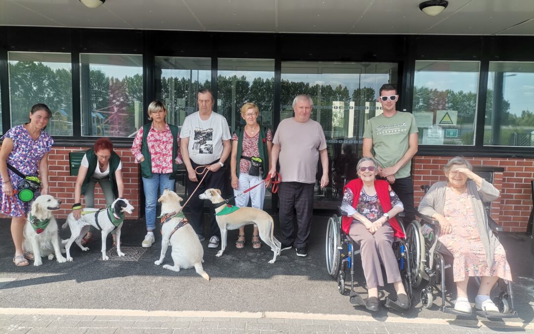 Promenade dans le village avec les animaux du Cœur sur la patte pour les résidents des Godenetteset sans oublier la visite avec Maddie aux soeurs