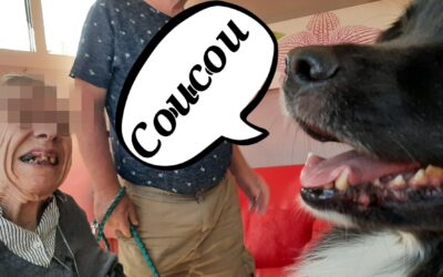 L’approche du chien n’est pas toujours simple et pourtant,Lotus et Night ont eté comblées de caresses par les résidents de La Marelle à Liévin.