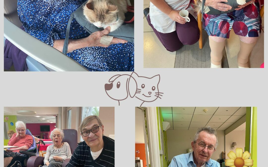 Mardi 26 Août :L’association Cœur sur la Patte est venue rendre visite à nos résidents, pour leur plus grand bonheur.Entre câlins, caresses et regards complices, les animaux ont su créer de véritables instants de tendresse et de joie. Les sourires étaient au rendez-vous, tout comme les souvenirs partagés. Merci !!