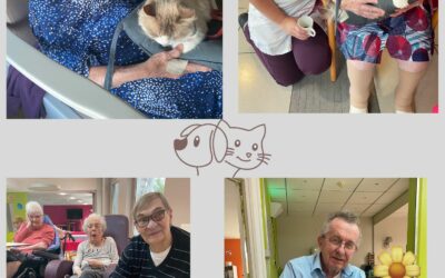 Mardi 26 Août :L’association Cœur sur la Patte est venue rendre visite à nos résidents, pour leur plus grand bonheur.Entre câlins, caresses et regards complices, les animaux ont su créer de véritables instants de tendresse et de joie. Les sourires étaient au rendez-vous, tout comme les souvenirs partagés. Merci !!