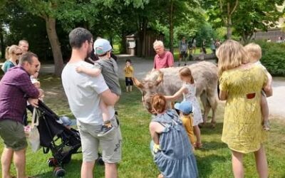 Retrouvez Le Cœur sur la Patte à Villeneuve-d’Ascq !