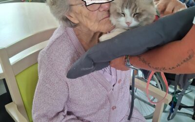 Merlin Maddie Nevy et Plume en visite au château d’Ecaillon
