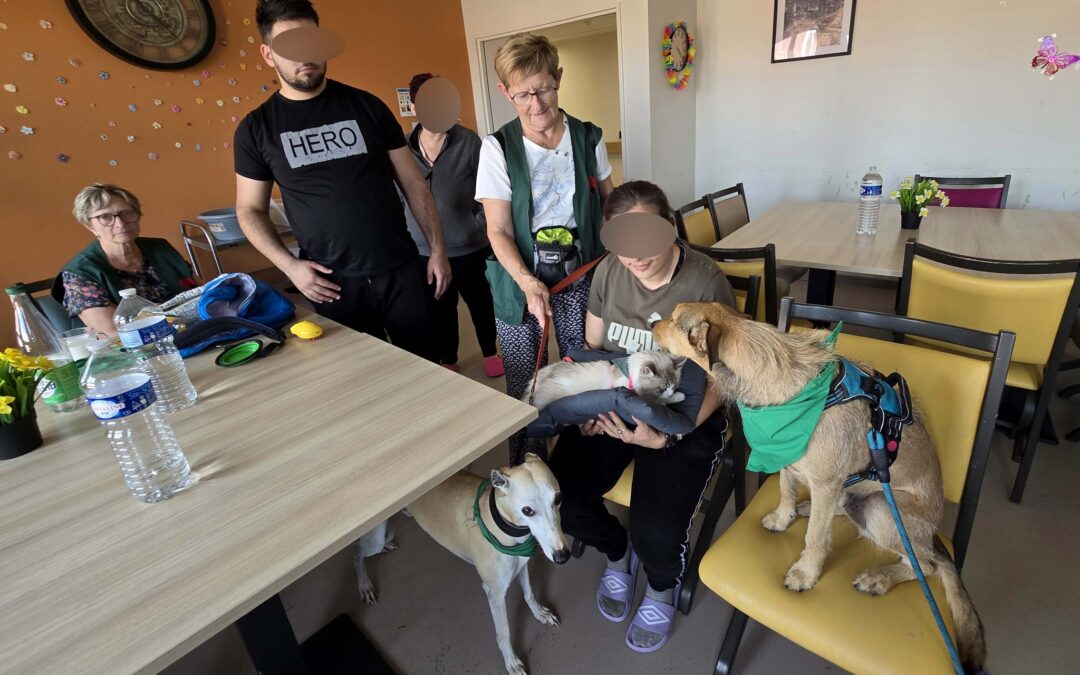 Plume, Ben & Navy en mission au Centre Constance Pascal de Valenciennes ce samedi 6 septembre.Grâce à eux les souvenirs reviennent, les solitudes se dissipent et même la douleur semble s’alléger. Les patients ont vécu pleinement l’instant présent.