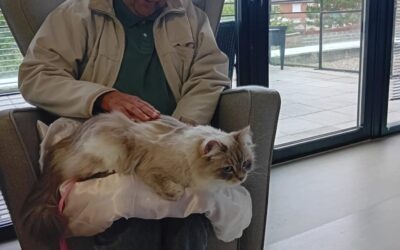 Cet après-midi au jardin d’hallium à Arleux avec Tilou et Perce-neige