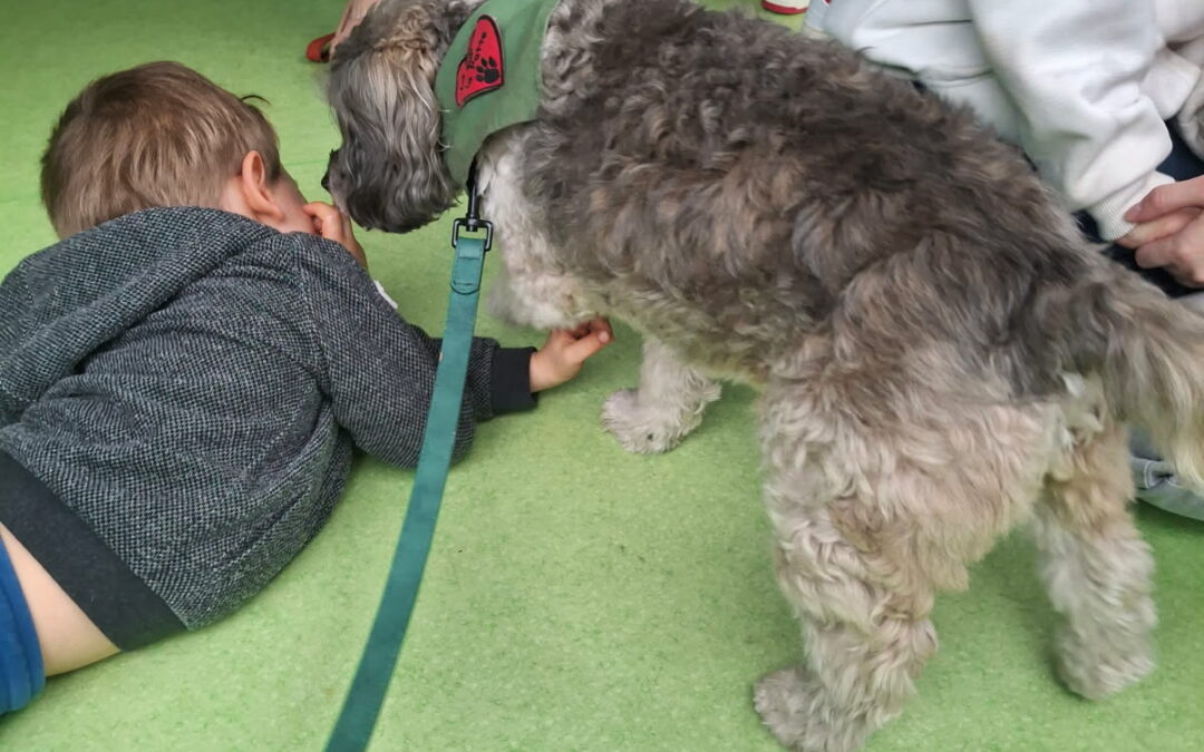 Merlin et Nevy hôpital de jour à Valenciennes