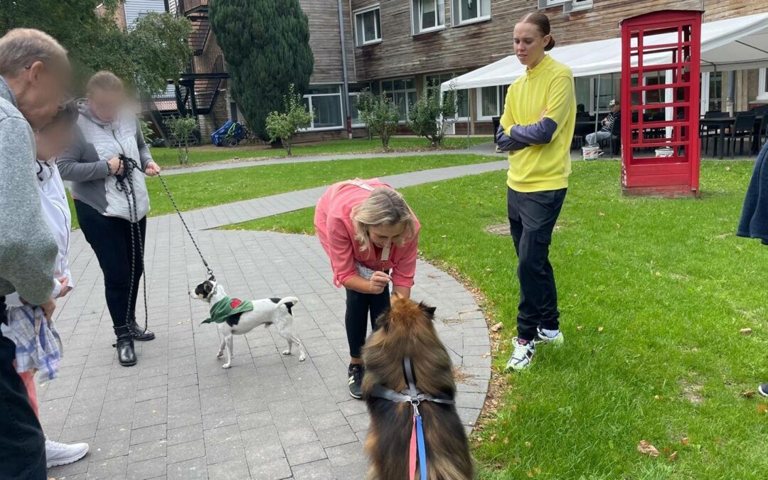Une séance bien orchestrée au foyer de vie du bord des eaux, avec une animatrice dynamique et investie.Un super moment pendant lequel Junior a pu faire son petit clown et Toffee entretenir sa fourrure soyeuse entre deux pauses pipis de bons moments de complicités entre les chiens et les résidents.