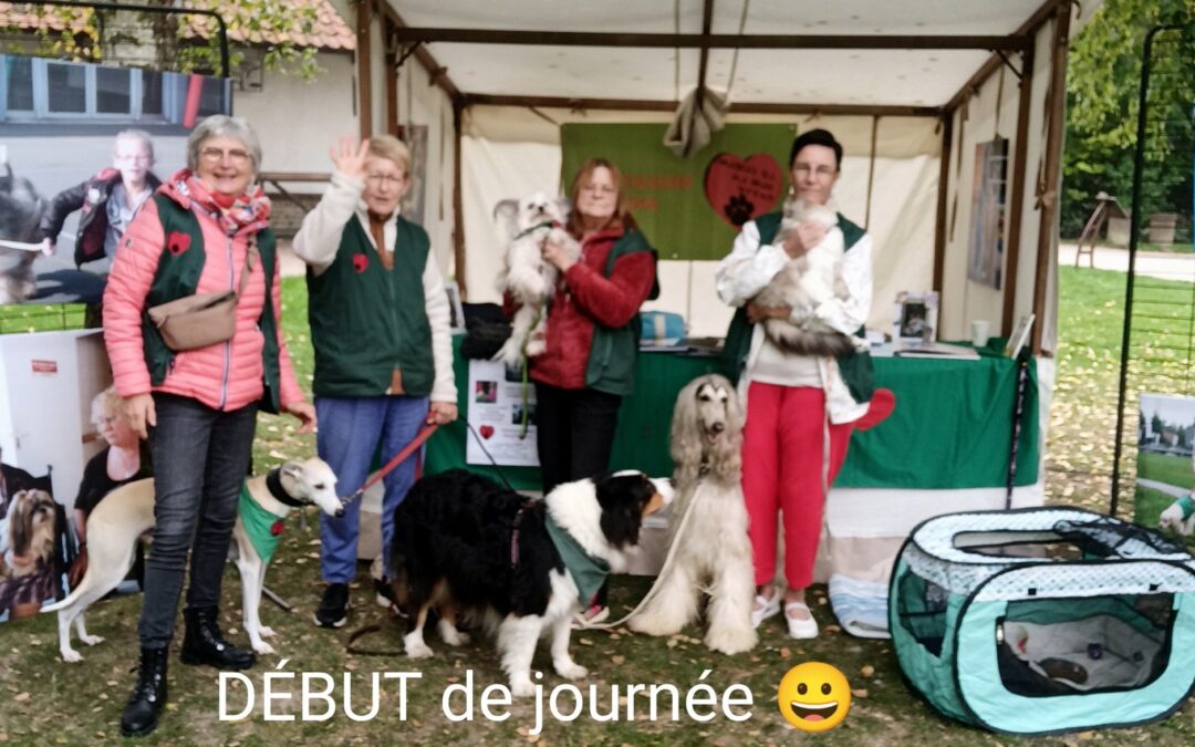 Journée mondiale des animaux et de leurs soigneurs.Musée de plein air VILLENEUVE D’ASCQ