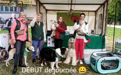 Journée mondiale des animaux et de leurs soigneurs.Musée de plein air VILLENEUVE D’ASCQ