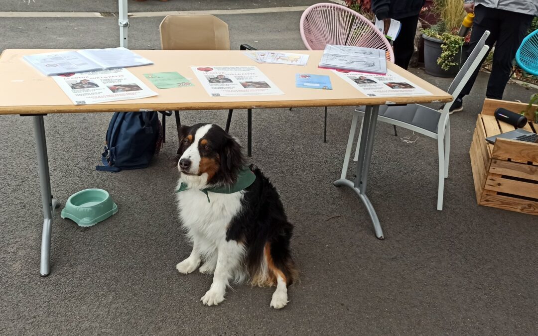 A l’occasion de la Semaine Internationale de la Santé Mentale Moïra est allée présenter « le Cœur sur la patte » à L’EPSM D’ARMENTIÈRES