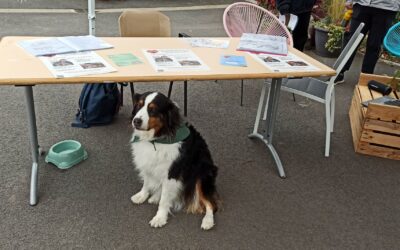 A l’occasion de la Semaine Internationale de la Santé Mentale Moïra est allée présenter « le Cœur sur la patte » à L’EPSM D’ARMENTIÈRES